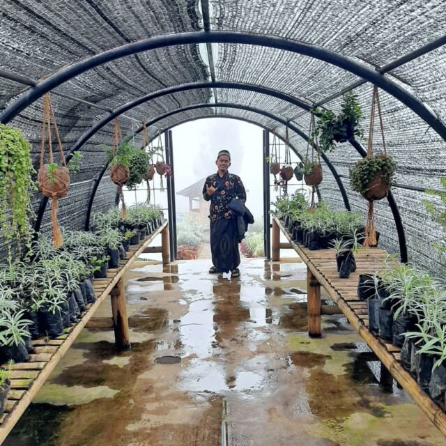 Fasilitas di Taman Edelweiss Wonokitri