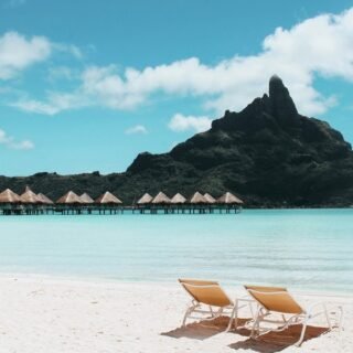 Sumber: Pexels.com - @vincent-gerbouin-445991