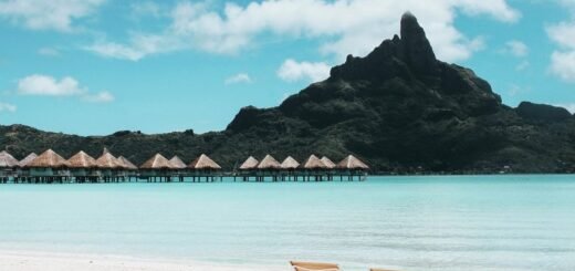 Sumber: Pexels.com - @vincent-gerbouin-445991