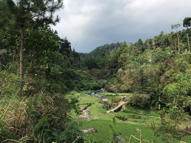 Kawasan Bumi Perkemahan Ledok Ombo