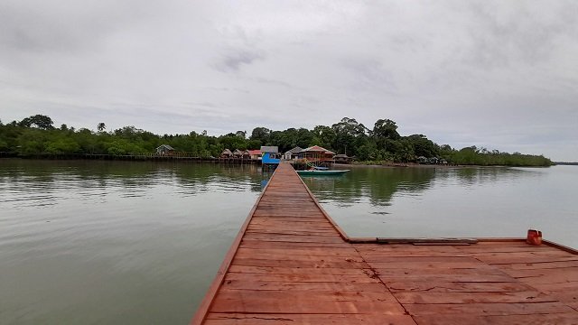 Wisata Mangrove Pulau Burung