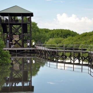 Daftar Hutan Mangrove di Indonesia