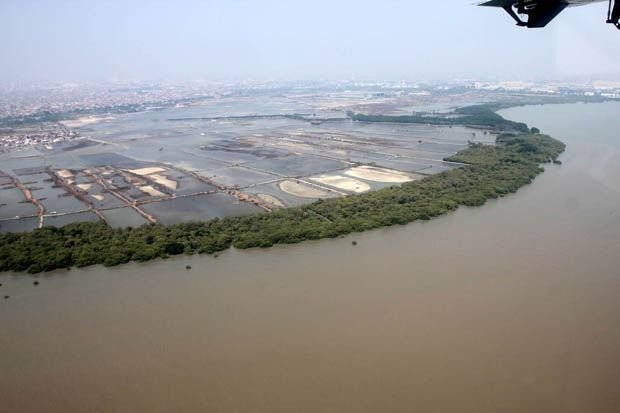 Reklamasi Pantai Untu mencegah kerusakan