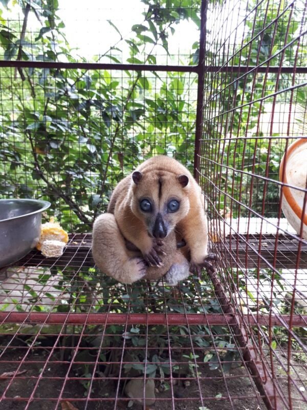 Taman Margasatwa Tandurusa