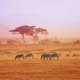 Negara Kenya Tempat wisata di Afrika