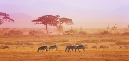 Negara Kenya Tempat wisata di Afrika