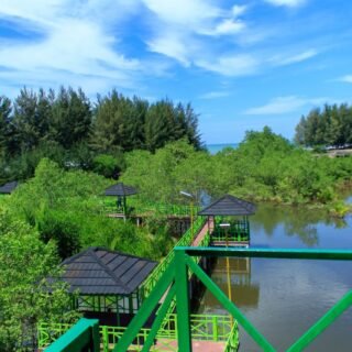 Daftar Hutan Mangrove di Sumatera