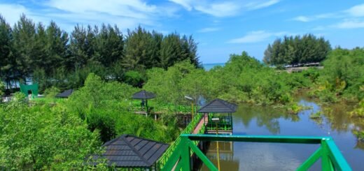 Daftar Hutan Mangrove di Sumatera