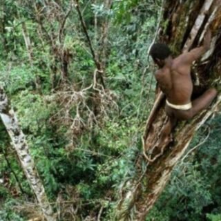 Daftar Suku Pedalaman di Indonesia