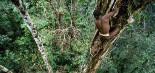 Daftar Suku Pedalaman di Indonesia