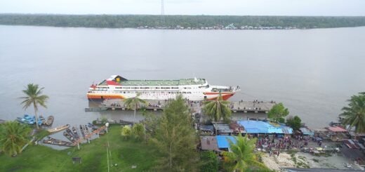 Dataran Rendah Teba