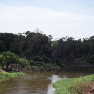 Hutan Lindung di Indonesia