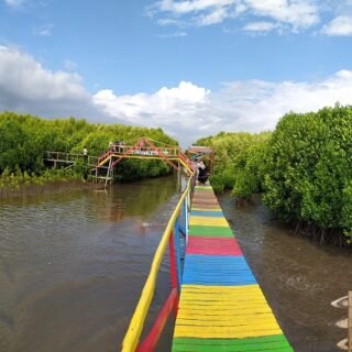 Hutan Mangrove Lantebung
