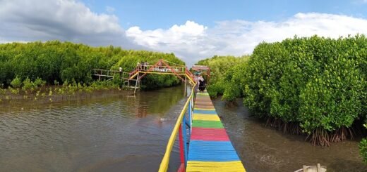 Hutan Mangrove Lantebung