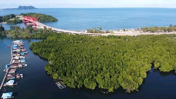 Hutan Mangrove Teluk Youtefa