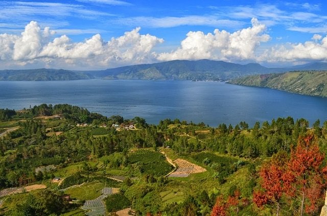 Kebun Raya Samosir