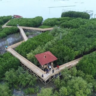 Mangrove Edupark Tambakrejo