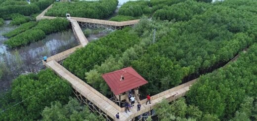 Mangrove Edupark Tambakrejo