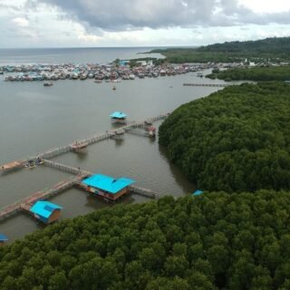 Wisata mangrove libsangaj pohea