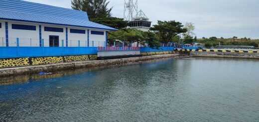 pelabuhan laut namlea