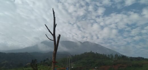 Bukit Joglo Saung Geulis, Tempat Camping Baru di Bogor - Photo by Adventuraja
