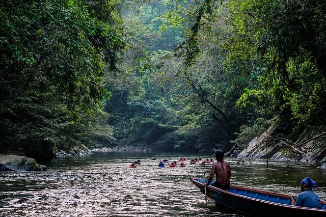 Kawasan Jalur Sungai di Taman Nasional Gunung Betung Kerihun