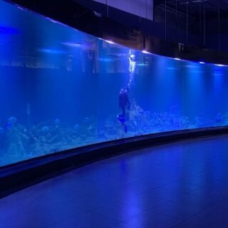 Aquarium Indonesia Pangandaran