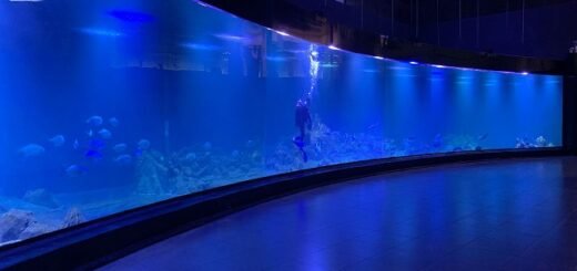 Aquarium Indonesia Pangandaran