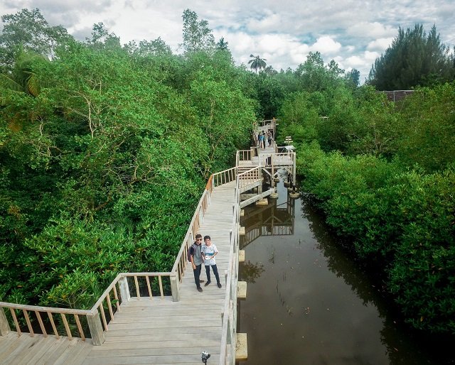 Wisata Hutan Mangrove Pariaman