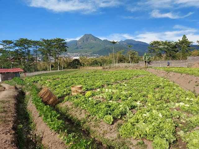 Pemandangan di bukit Jengkoang