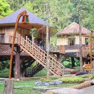 Penginapan di Rumah Pohon Safari Resort