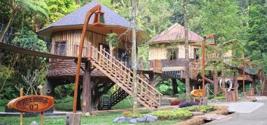 Penginapan di Rumah Pohon Safari Resort