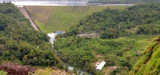 Taman Bedegolan Wadaslintang