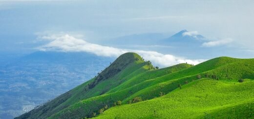 Jalur Pendakian Gunung Merbabu Yang Resmi