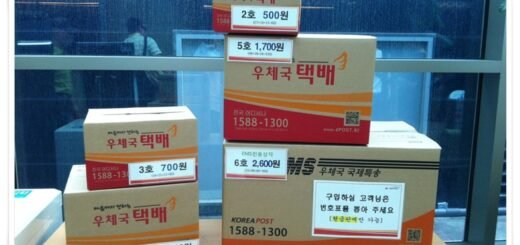 Jasa Kirim Barang Dari Korea Selatan ke Indonesia - Photo by Google