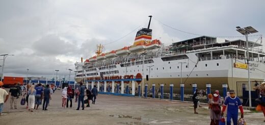 Jadwal Kapal Pelni Dari Tual Kei