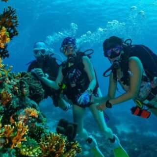 Dive Wonderful Indonesia