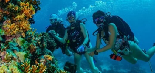 Dive Wonderful Indonesia