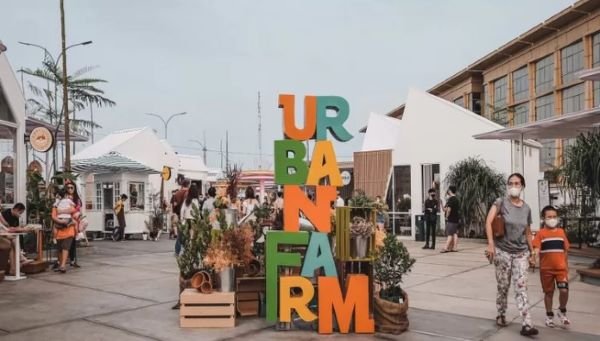 Urban Farm PIK 2 - Photo by Independent Media