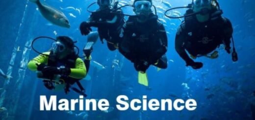 Daftar Universitas Jurusan Ilmu Kelautan di Indonesia - Photo by Google