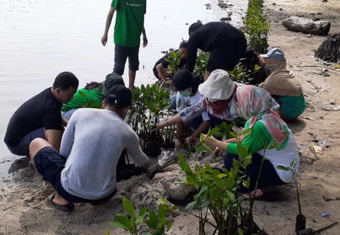 Kegiatan Menanam Mangrove Jurusan Ilmu Kelautan IPB - Photo by Mangrove Jakarta