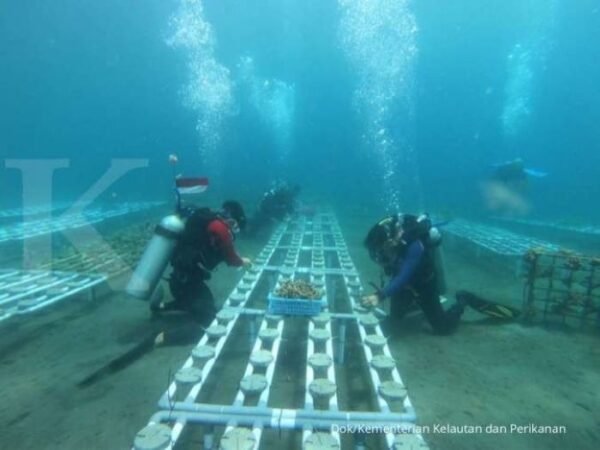 Prodi Fakultas Ilmu Kelautan dan Perikanan di Indonesia - Photo by Dokumen Kementrian Kelautan dan Perikanan