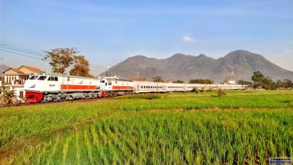 Stasiun Leles