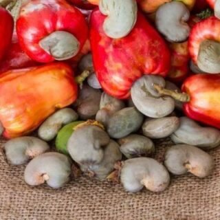 6 Daerah Penghasil Kacang Mete di Indonesia - Photo by Google