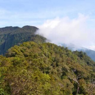 Bukit di Kalimantan Barat