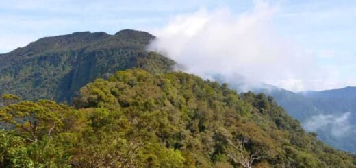Bukit di Kalimantan Barat