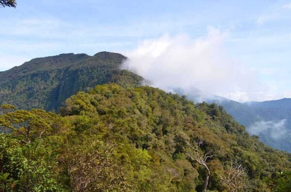 Bukit di Kalimantan Barat