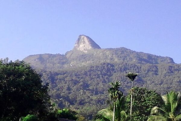 Gunung Saran