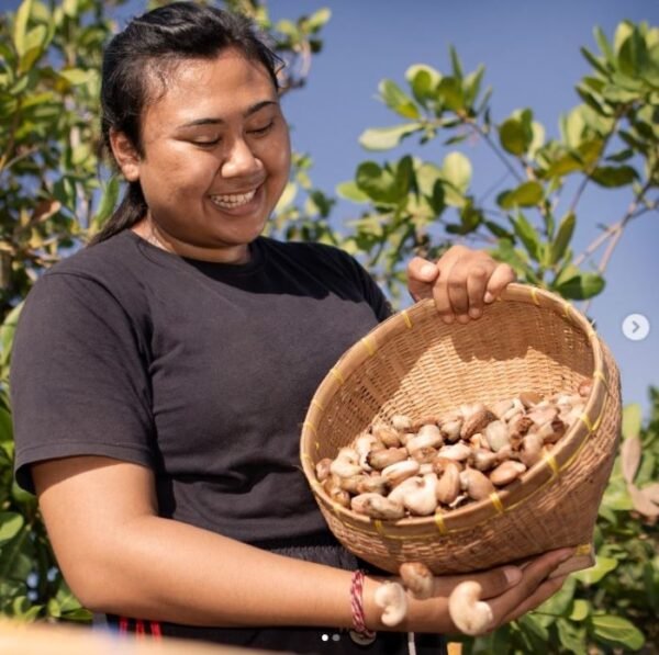 Produsen Kacang Mete Terbaik di Karangasem Bali - Photo by Instagram