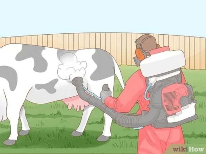 Menghindari Lalat Pikat - Photo by WikiHow